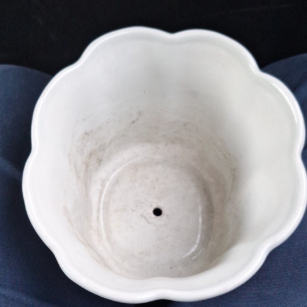 Black and White Ceramic Planter - Picture 3 of 7